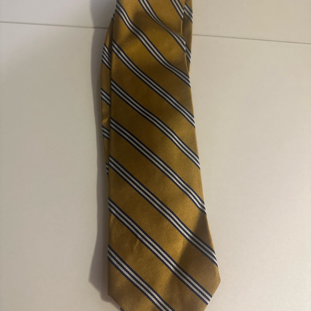 Elegant Gold Striped Tie